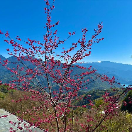 Tian Hsiang Tea B&B 仁愛郷 エクステリア 写真