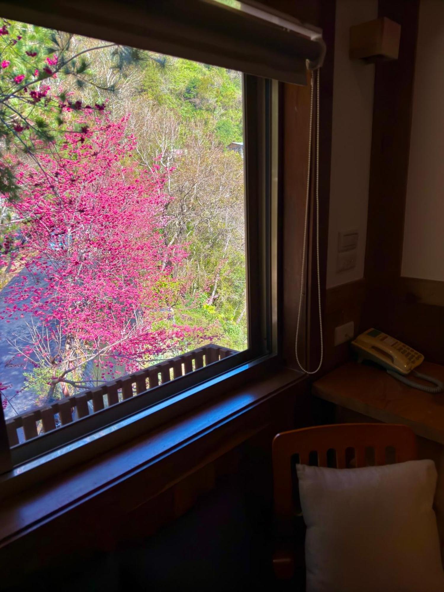 Tian Hsiang Tea B&B 仁愛郷 部屋 写真