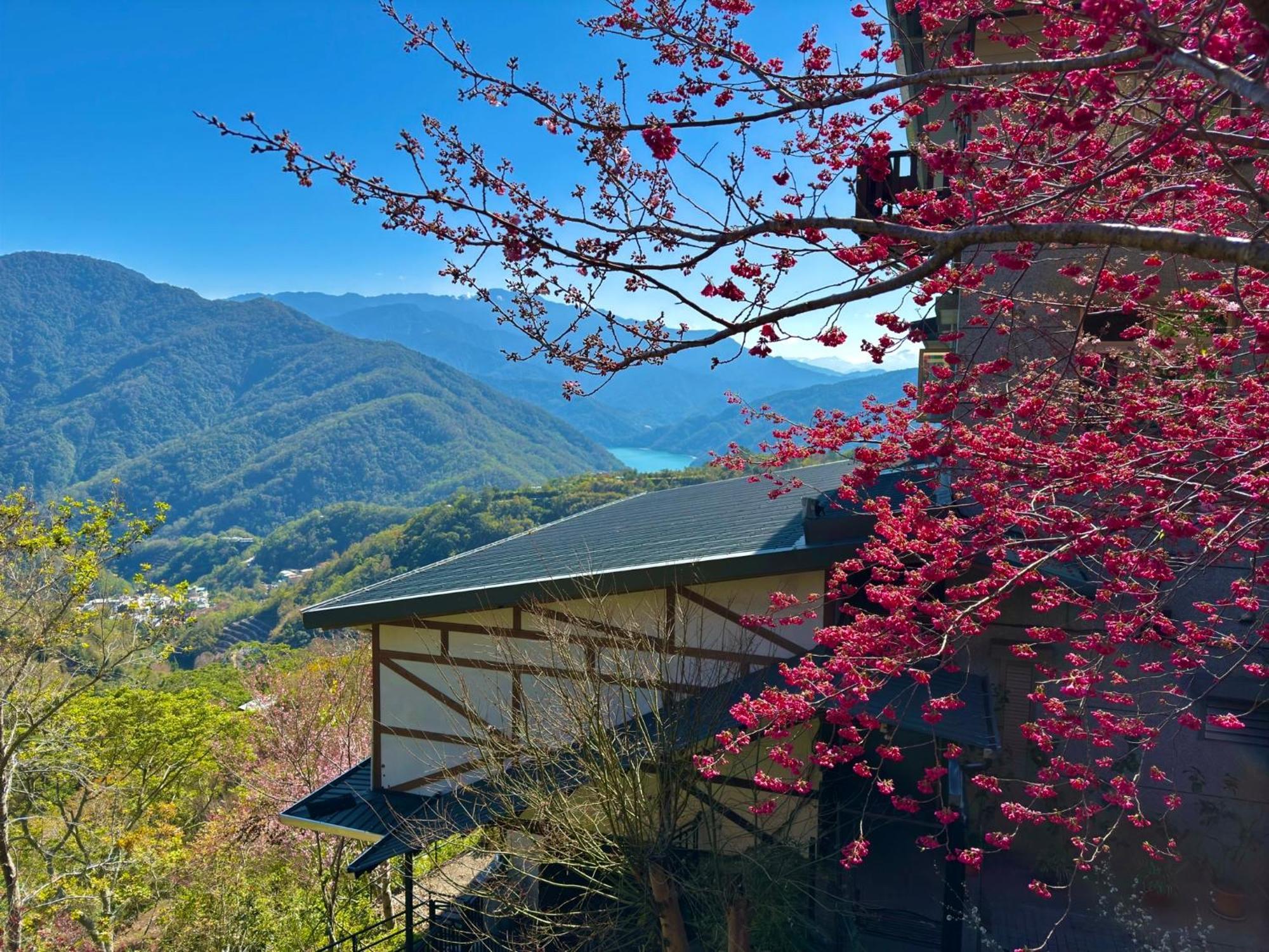 Tian Hsiang Tea B&B 仁愛郷 エクステリア 写真