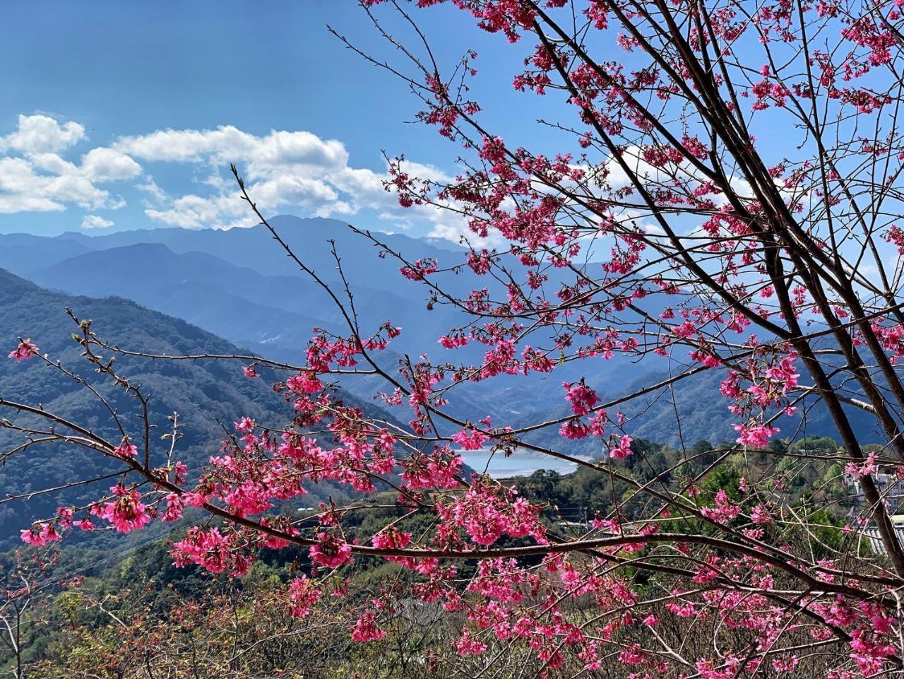 Tian Hsiang Tea B&B 仁愛郷 エクステリア 写真